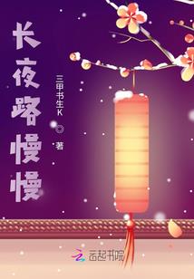 大宋妖后传