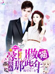 火影之火之守护