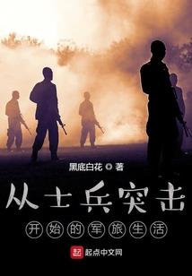 夜之右翼
