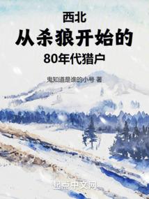元素大陆：大陆王者