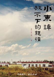 霸立华天