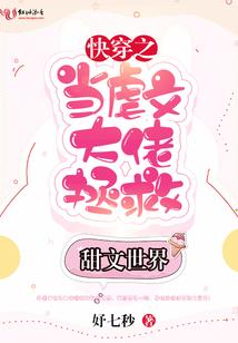 超级视频系统