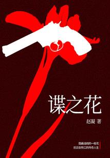 斗罗：从成为元素之主开始