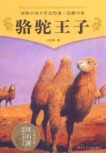 我的大学生活记