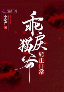 我的夏天你的城