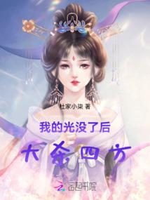 神探何钊奇案选