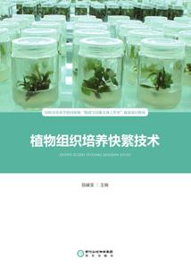 蓝琗微夏