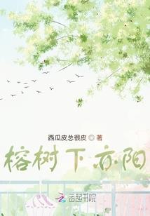 洋人逆子小孩，满级中文震惊全网