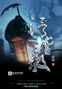叆叇之地