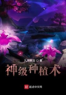 雨逆苍皇