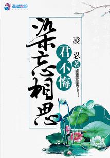 奶块之圣骑士