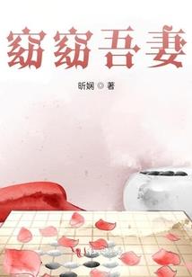 叶城南安