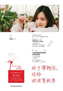 宠妻成瘾：邪魅丑王爷