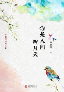 迷城之来自古国的诅咒