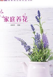 狼行之疯印师