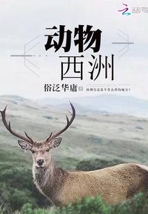 还你余生不负