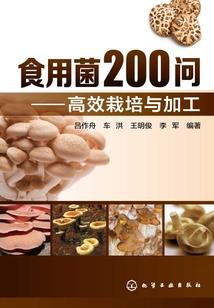 影世畅游
