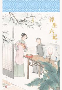 傻子七小姐倾城第一妃