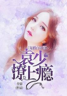 番外之苏先生
