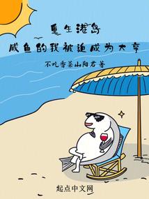 催眠怪盗妄