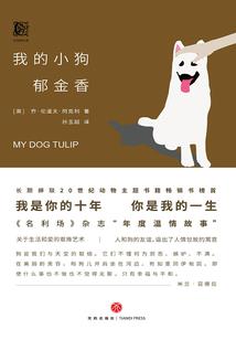 清穿后我绑定了上进系统