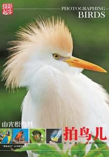 凰执