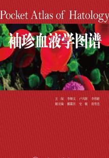 声声流水盛