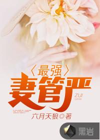 丁瀚传