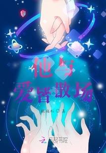案中案