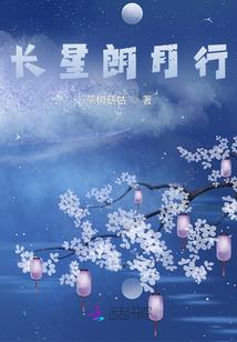 风甲