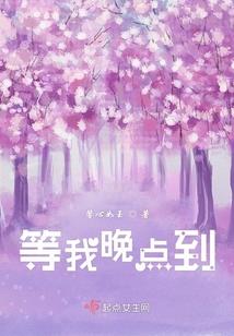 浮尘休道