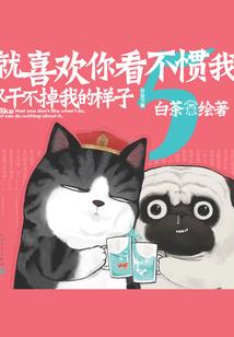 海侠之路