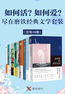 光明之下的阴影之翼