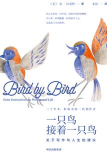 青苍之眼
