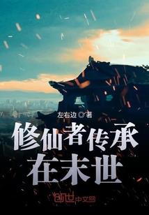 宠物小精灵之穿越火箭队