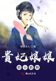 网游之斗龙魂