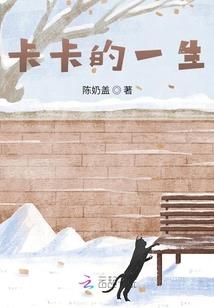 厌世女恋上商业男