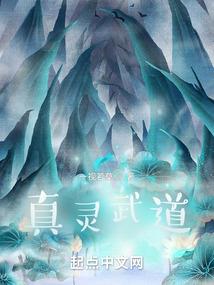偏执总裁的小仙女