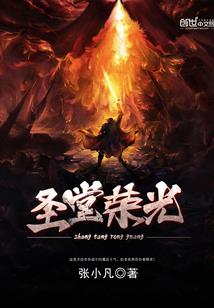 特别案件调查集