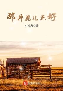 不正经的游戏