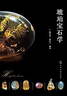 那一年花开花谢