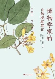 超级女星