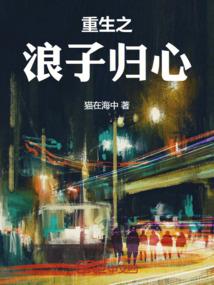 火焰纹章之苍龙穹空传