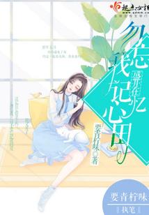 锦上容华
