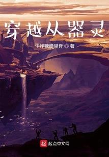 宠物小精灵之再世旅途