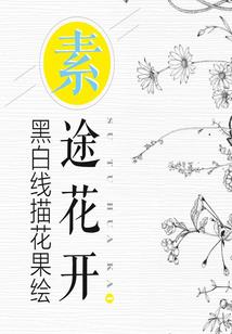 轩瀚大陆