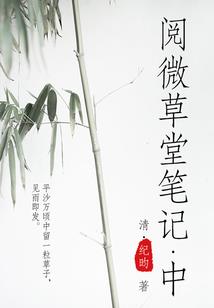 皇后带朕玩穿越