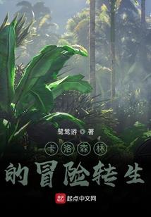 斗破苍天