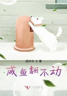 火龙别情