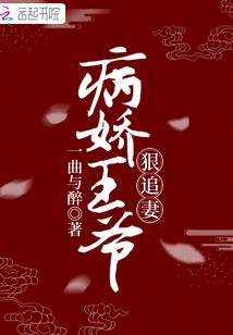 梦幻般的年华
